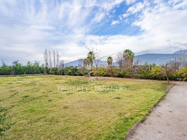 place photo 45