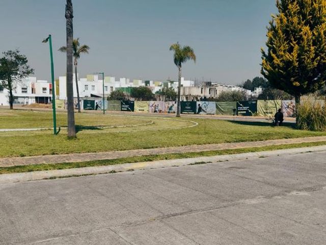 place photo 41