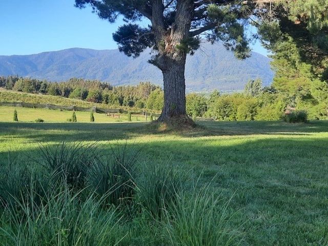 place photo 47