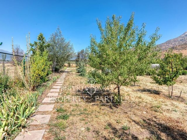 place photo 31