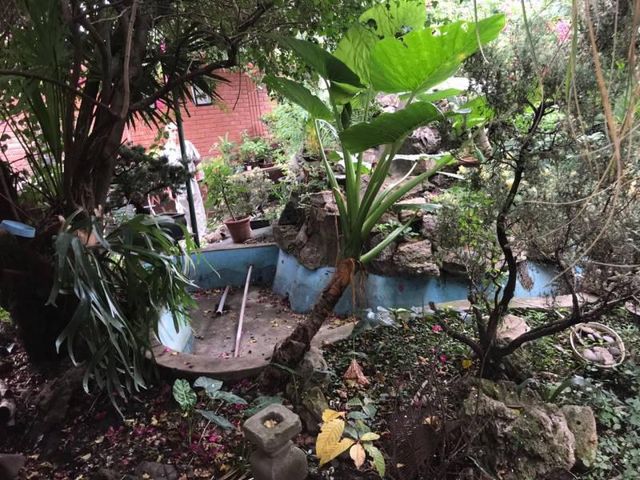 place photo 22