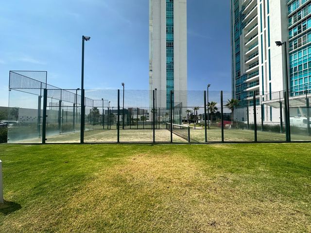 place photo 29