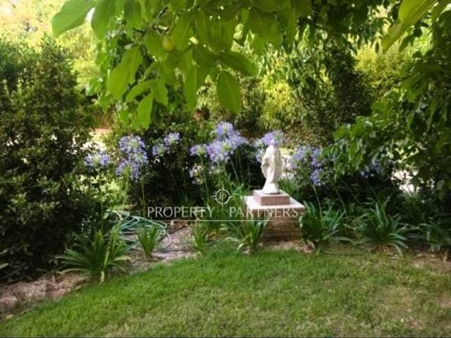 place photo 33