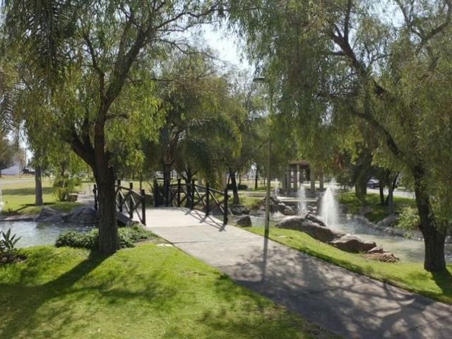 place photo 27