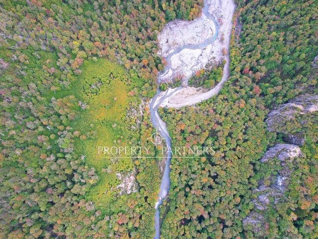 Patagonia, 680ha con 7Km de orilla Rio Avellano