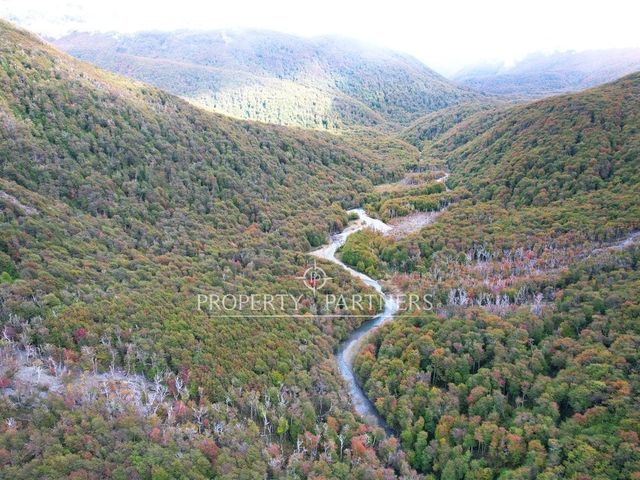 Patagonia, 680ha con 7Km de orilla Rio Avellano