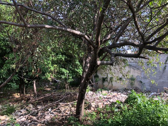 place photo 14