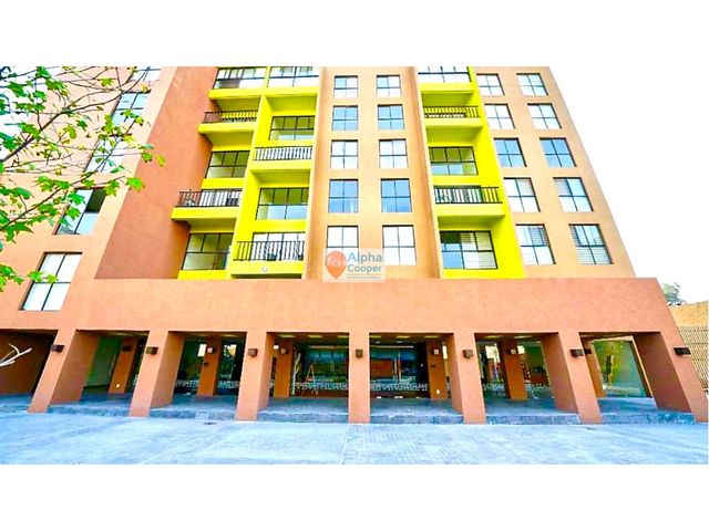 place photo 50