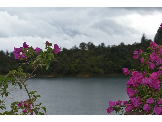 place photo 23