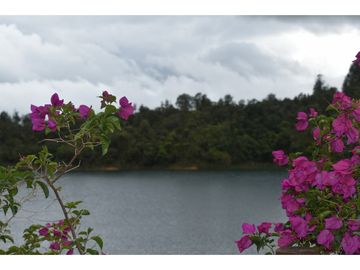 place photo 23