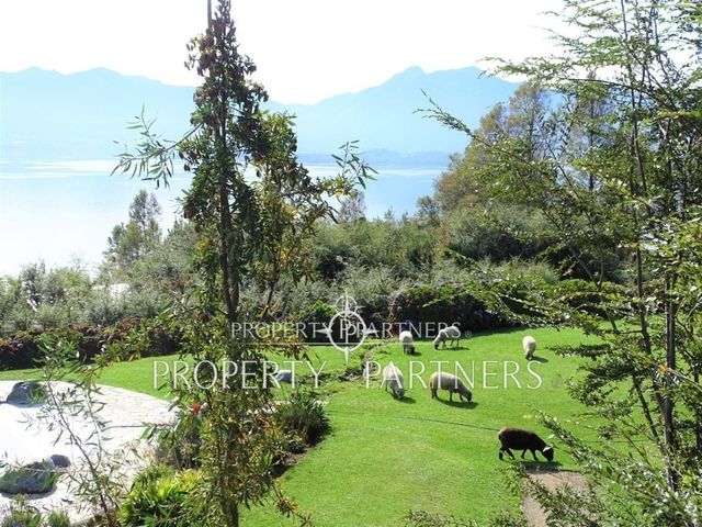 place photo 47
