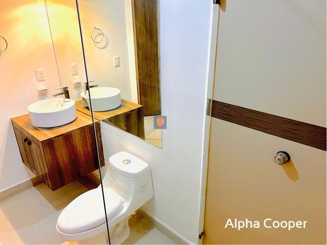 place photo 43