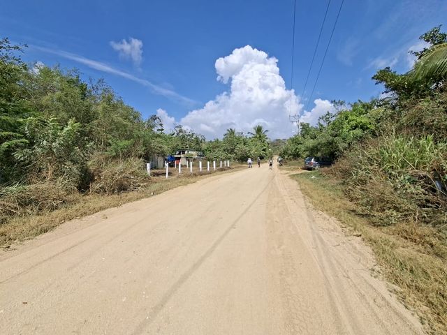 place photo 15