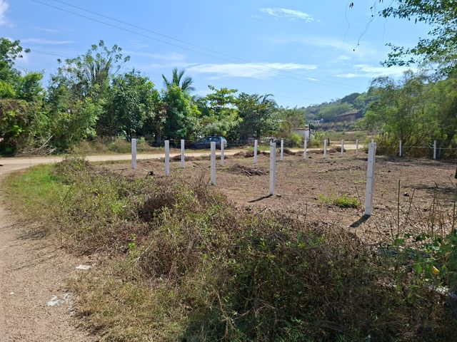 place photo 14