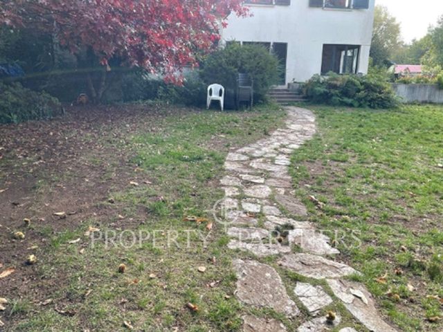 place photo 37