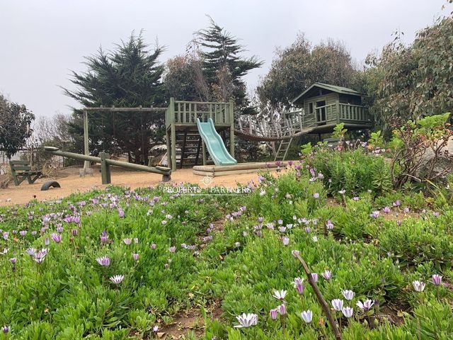 place photo 37