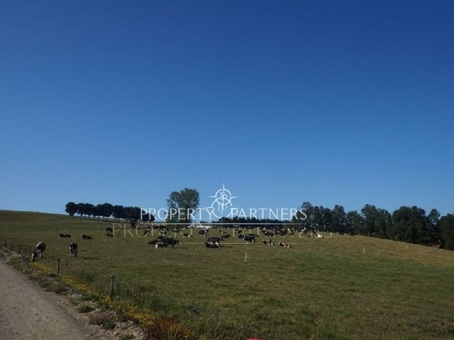place photo 41