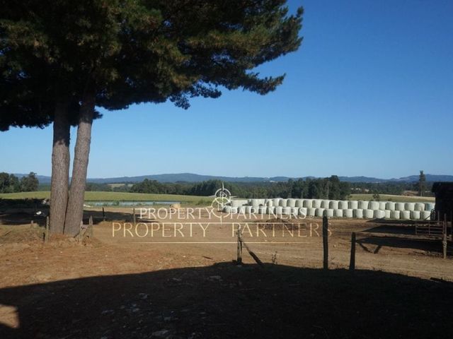 place photo 37