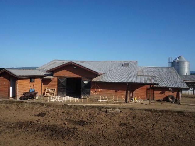 place photo 32