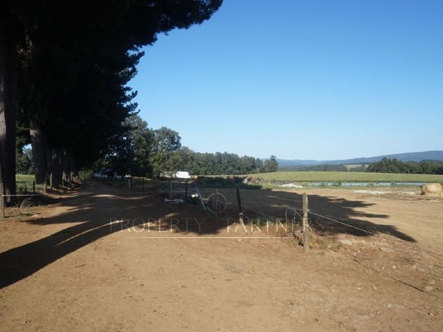 place photo 38