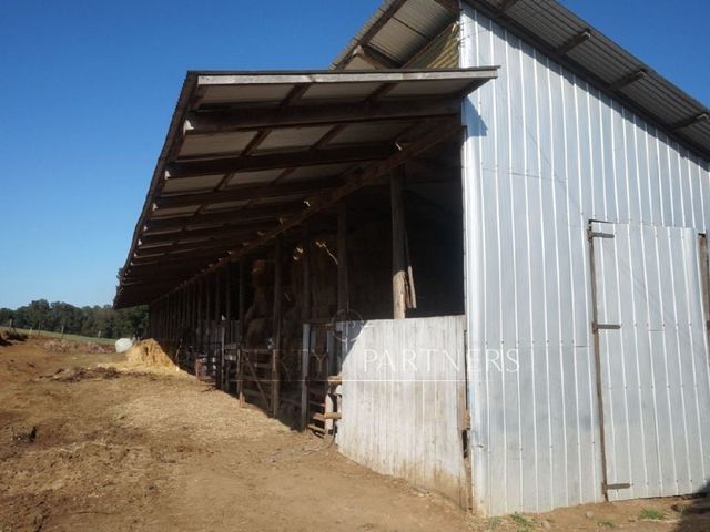 place photo 33