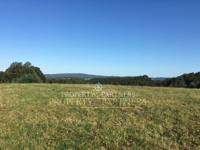 place photo 43