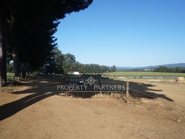 place photo 38