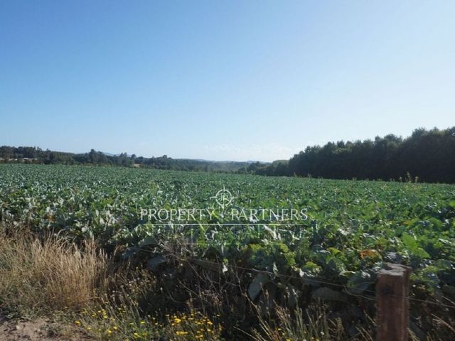 place photo 39