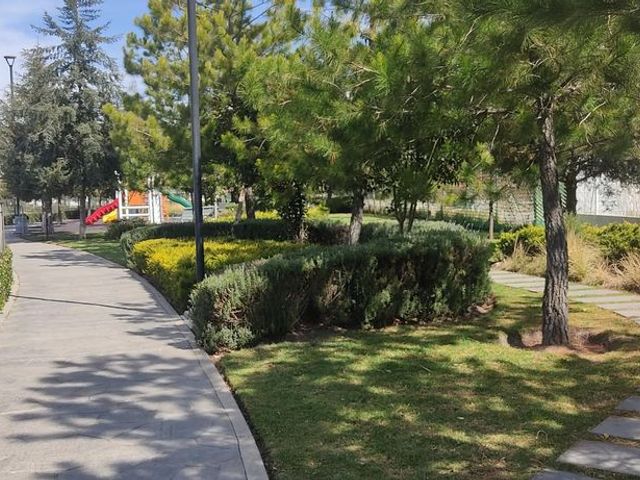 place photo 64