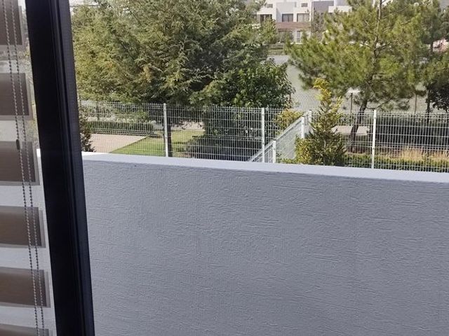 place photo 49