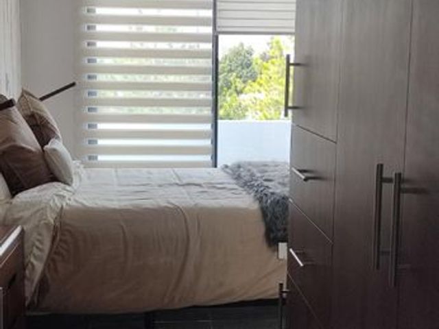 place photo 37