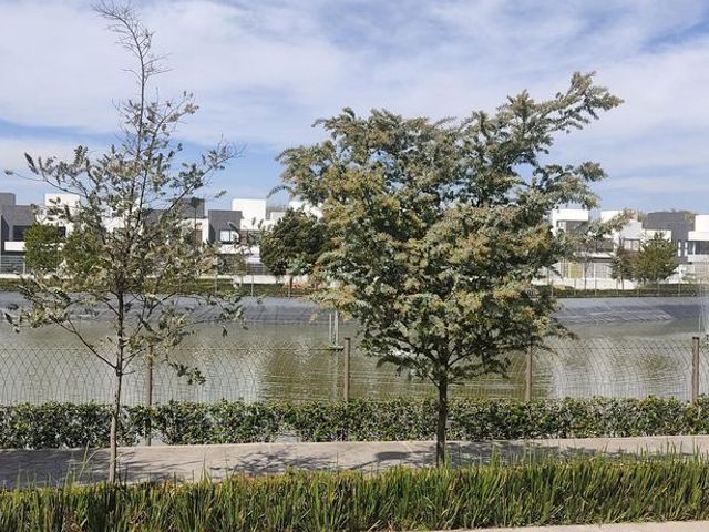 place photo 72