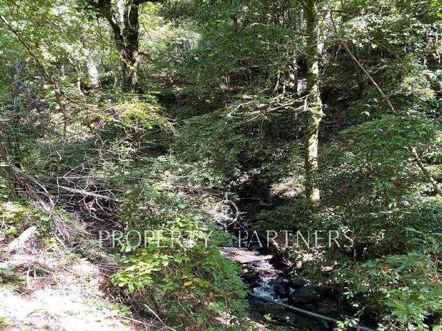 place photo 48