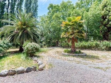 place photo 24