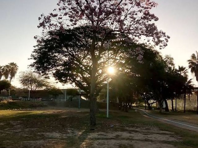 place photo 15