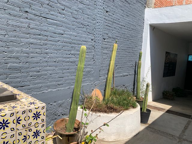 place photo 49