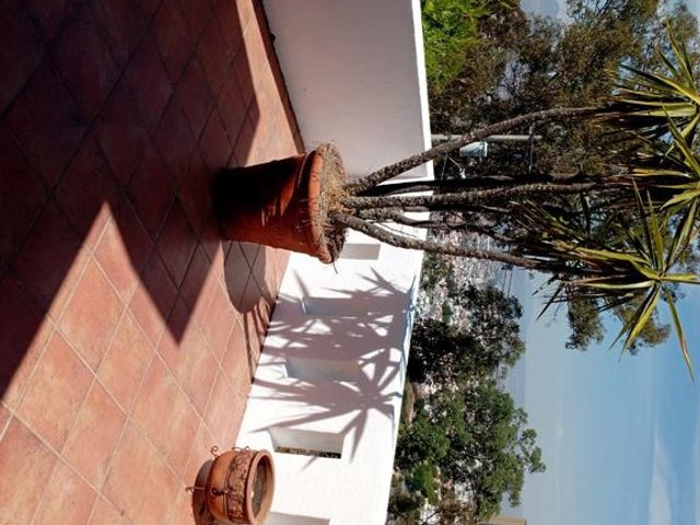 place photo 60