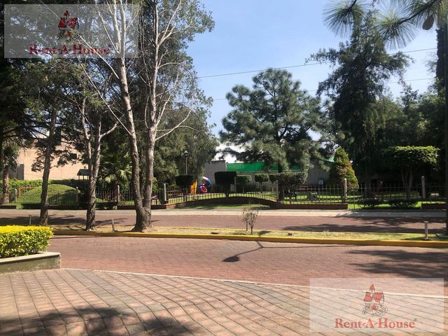 place photo 69