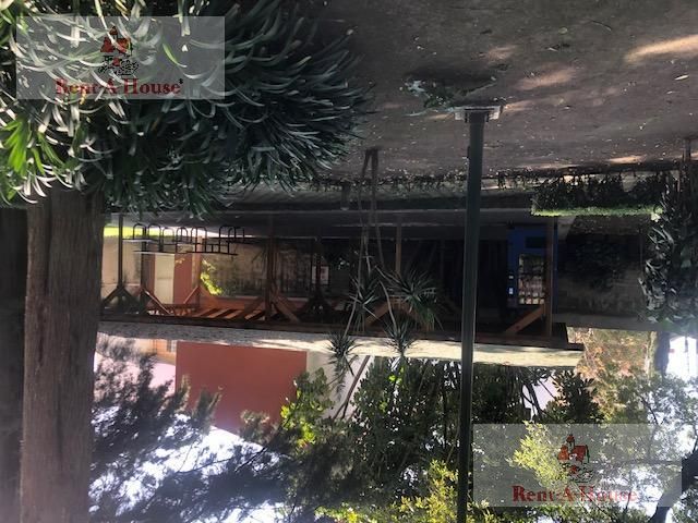 place photo 74