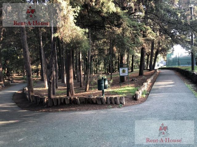 place photo 87