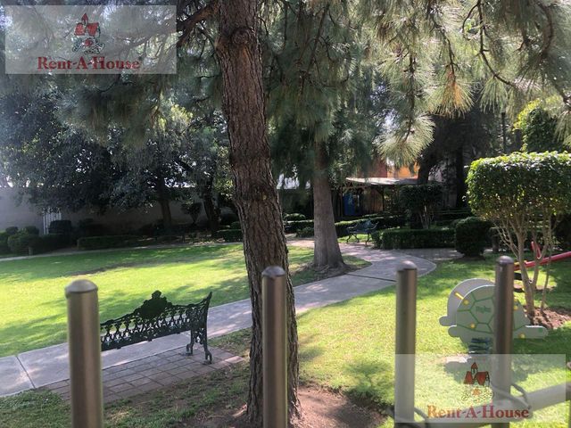 place photo 65