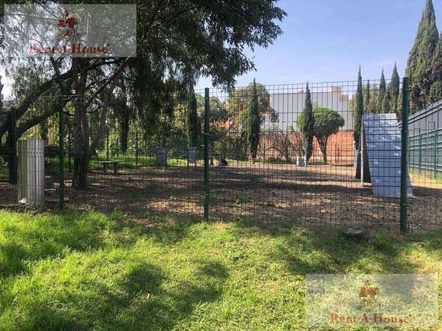 place photo 73