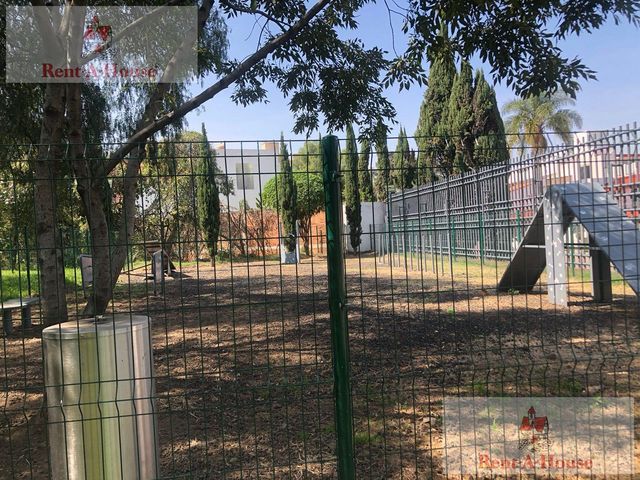 place photo 68