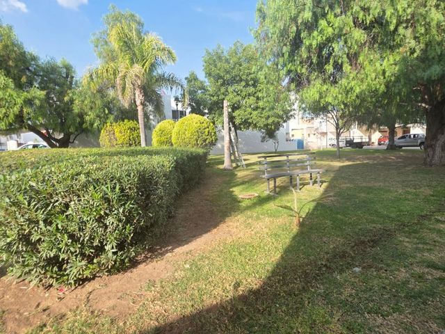 place photo 28