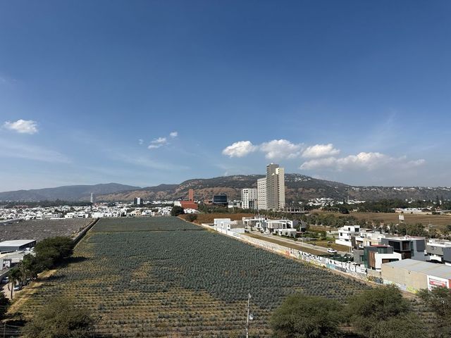 place photo 40