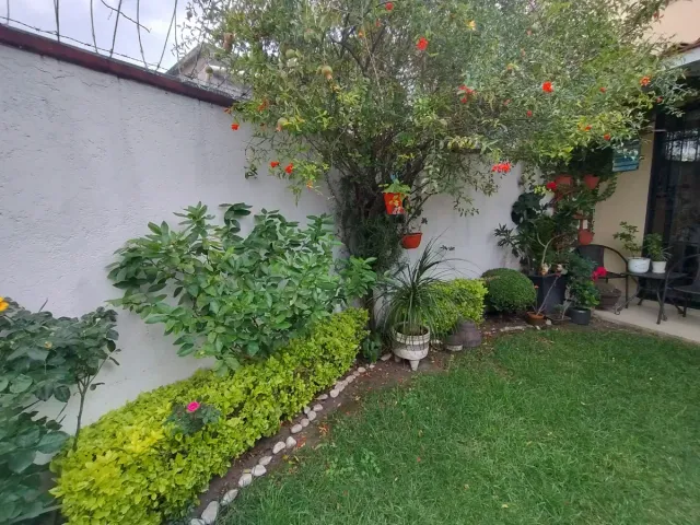 place photo 36