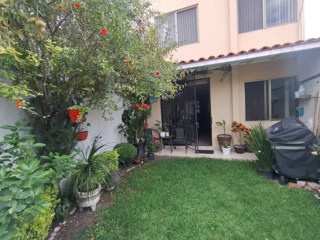 place photo 35