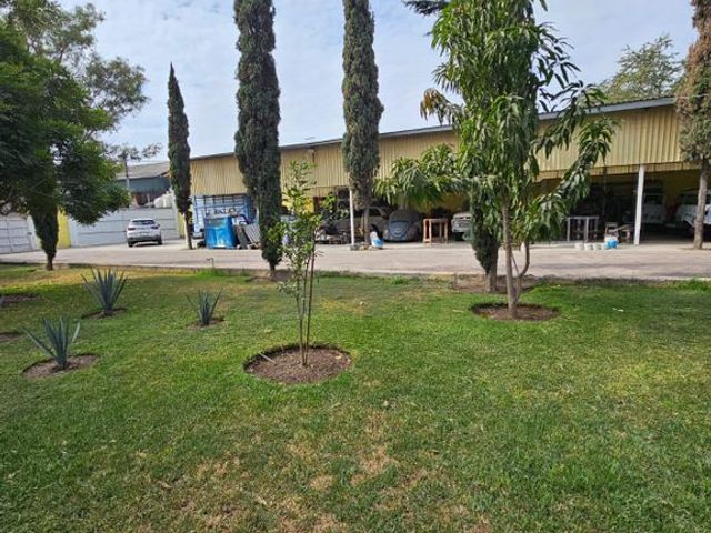 place photo 41
