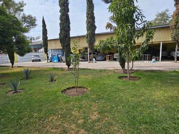 place photo 41
