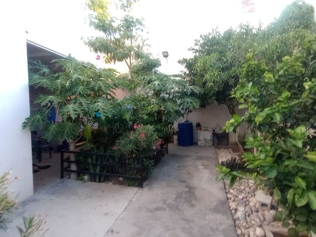 place photo 54